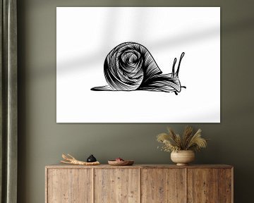 Poster Escargot - Illustration au trait fin - Noir et blanc - Automne sur Studio Tosca