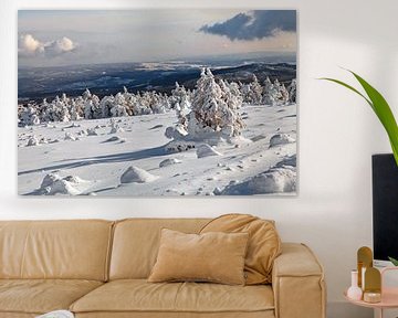 Winterlandschap bij de Brocken in het Harzgebergte van t.ART