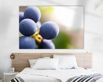 Blauwe druiven van Laura Vollering