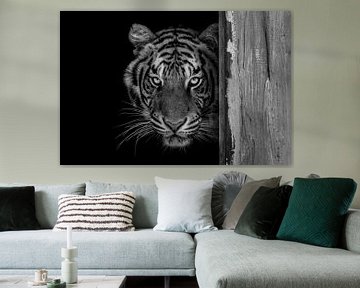 Bengaalse tijger zwart-wit