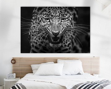 Leopard schwarz und weiß von Daphne van Dam