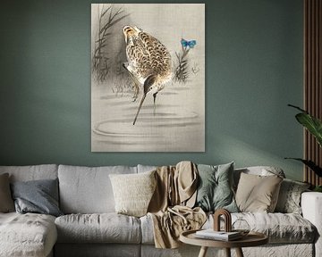 L'oiseau Pinocchio se fraye un chemin