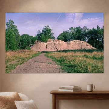 Sandberg auf der Heide