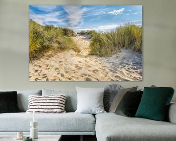 Het pad door de duinen naar het strand van Lisette Rijkers