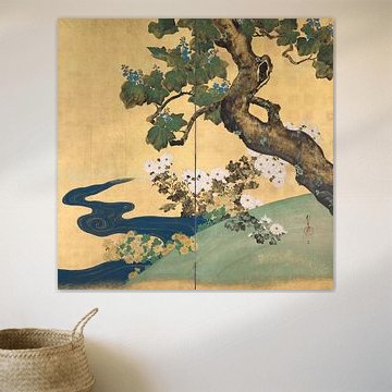 Paulownien und Chrysanthemen, Sakai Hoitsu