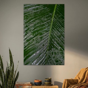 Feuilles tropicales sombres avec repousse.