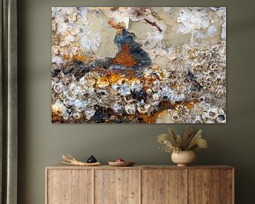 Industrial seascape with shells and barnacles by Sia Windig