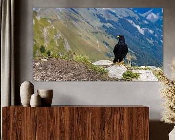 Oiseau noir sur Suggiture près d'Interlaken en Suisse