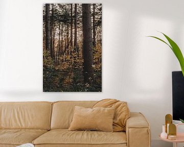 Fall vibes by Tessa Dommerholt