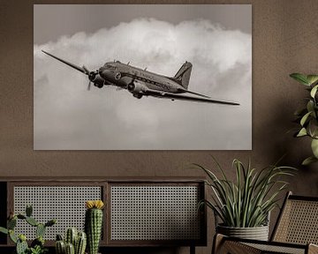 Old times revive during the La Ferte Alais airshow of 2021. The beautiful Douglas DC-3 in Air France by Jaap van den Berg