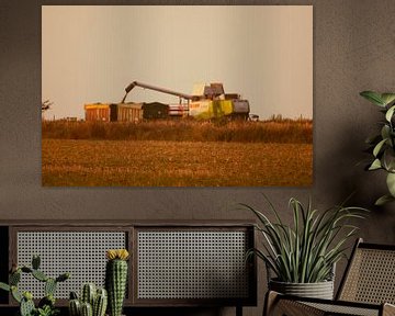 Combine harvester in the sunset by Michael Ruland