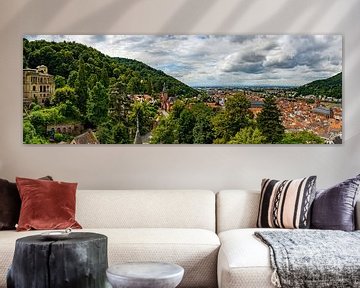 Panorama van Heidelberg, Duitsland van Guenter Purin