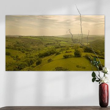 Grüne Hügel in den Cotswolds, England