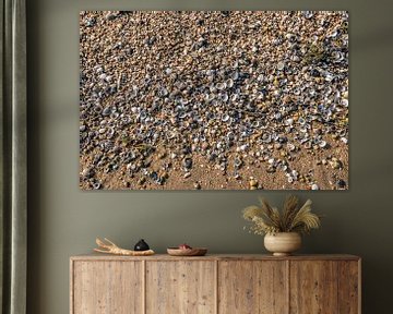 Shells and gravel washed up on a river beach in the Netherlands by Ruud Morijn