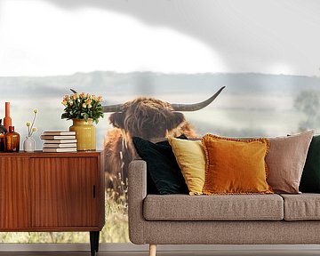 Schotse Hooglander in de herfst