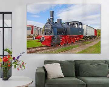 Alte Dampflokomotive im Wissenschaftshafen Magdeburg von t.ART