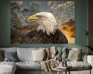 Portrait of White-tailed Eagle by Robert Jan Smit