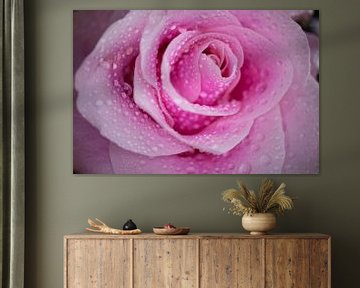 Roze roos met druppels van By Karin