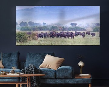 Buffalo