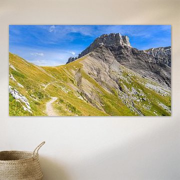 Roches spéciales à Schynige Platte, Suisse