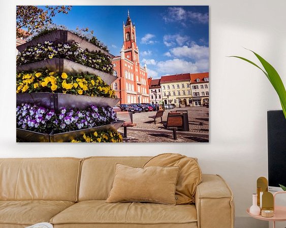 Aperçu de la chambre