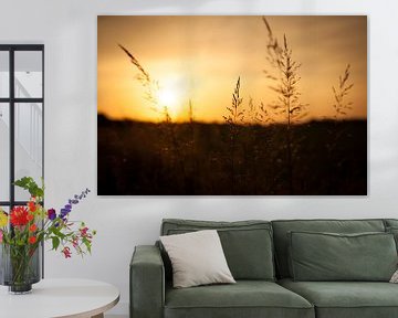 Graan silhouet met ondergaande zon | Nederland | Natuur- en Landschaps van Diana van Neck Photography
