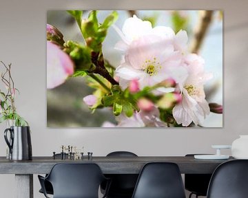 Wit roze bloesem