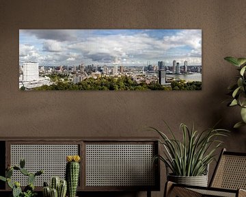 Panorama uitzicht op Rotterdam vanuit Euromast, Nederland -  Stedenfotografie van Dana Schoenmaker