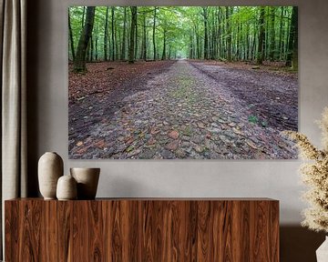 Boulder path forestry Gasselte in Drenthe by Evert Jan Luchies