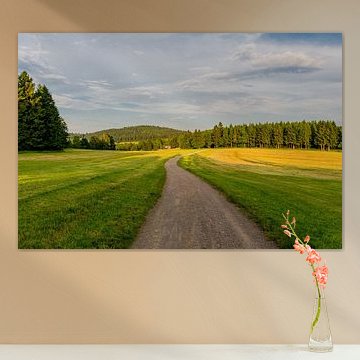 Prachtig landschap in het Thüringer Woud