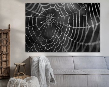Spinnenweb met dauwparels zwart wit van Stefanie de Boer