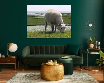 Des moutons sur Terschelling sur Jessica Berendsen