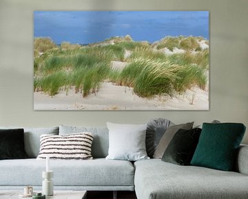De duinen van Terschelling van Jessica Berendsen