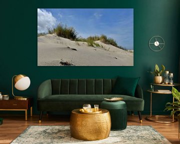 De duinen van Terschelling van Jessica Berendsen
