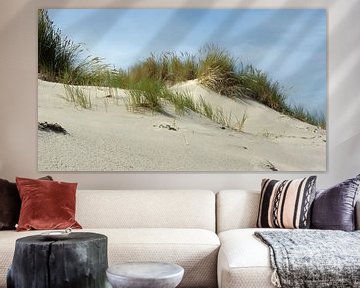 De duinen van Terschelling van Jessica Berendsen
