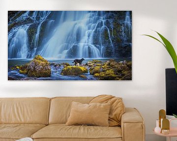 Gollinger Waterfall by Henk Meijer Photography
