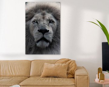 Lions Kingdom graphic oilpaint van Foto Studio Labie