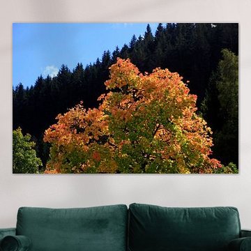 Goldener Oktober