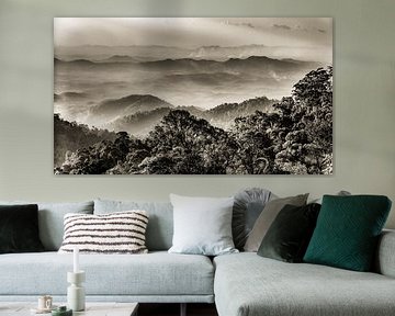 Panorama Regenwald in Genting Highlands in Malaysia in schwarz-weiss von Dieter Walther