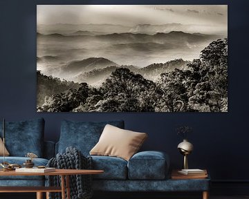 Panorama regenwoud in Genting Highlands in Maleisië in zwart-wit van Dieter Walther