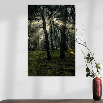 Huis ter Heide in Tilburg