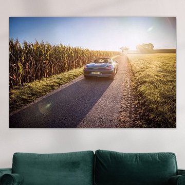 Porsche Boxster GTS Typ 981 von Rob Boon