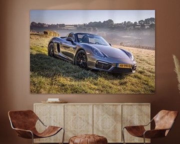 Porsche Boxster GTS type 981 by Rob Boon