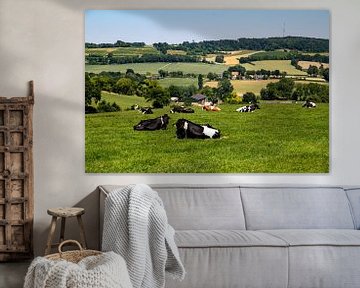 Koeien in de wei in Zuid-Limburg van Ingrid van Sichem
