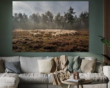 Sheep herd on the loenermark by Stijn Smits
