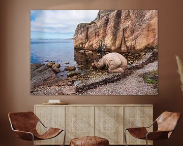 Rocks on the archipelago island Kapelløya in Norway by Rico Ködder