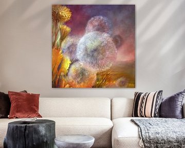 Paardenbloemen in het avondlicht van Annette Schmucker