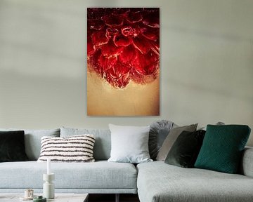 Red dahlia in ice by Steffen Sebastian Schäfer