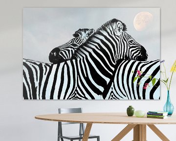 Liefde is ……Zebra in Maanlicht van Caroline Drijber