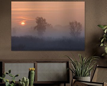 Sonnenaufgang im Nebel von Thijs Friederich